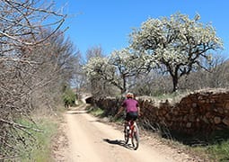 Ruta 3: San Julián (ibérica Bike) © Comarca de Daroca 
