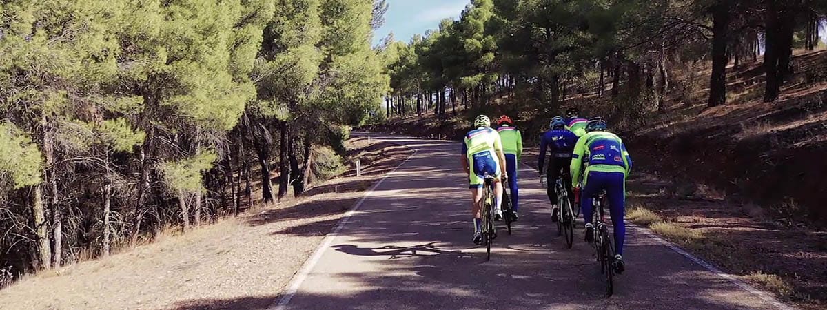 Ascendiendo por pinar en Murero (ibérica Bike) © Comarca Daroca